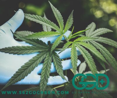 562 Go Green Cannabis Delivery